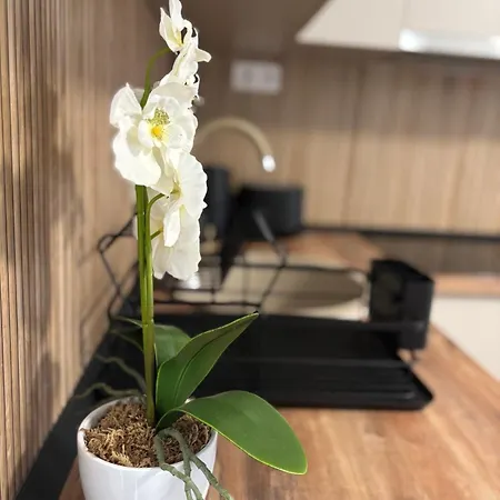 Apartment Agora2 Hajduszoboszlo